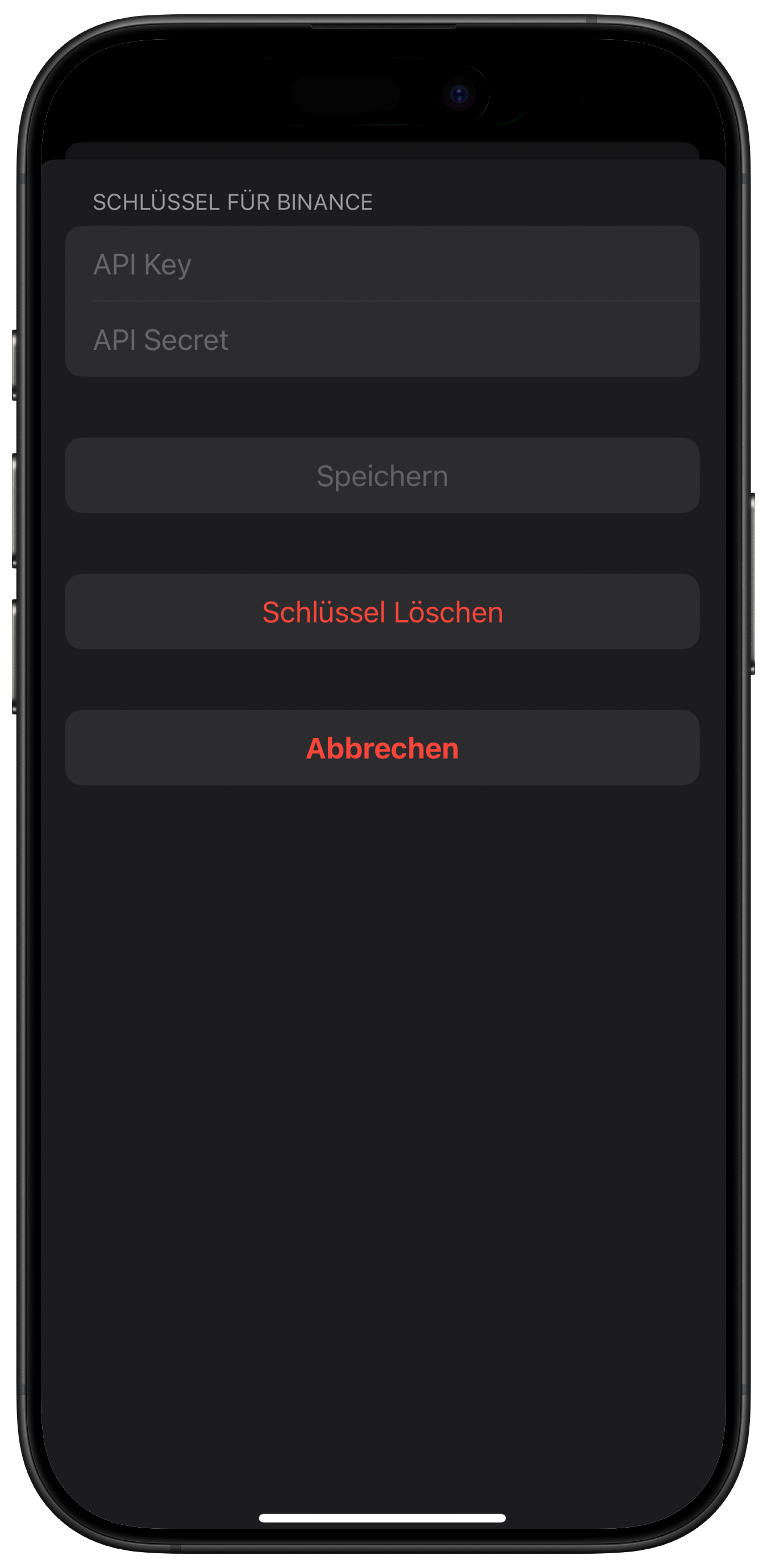 Screenshot: API-Detailansicht zum Speichern