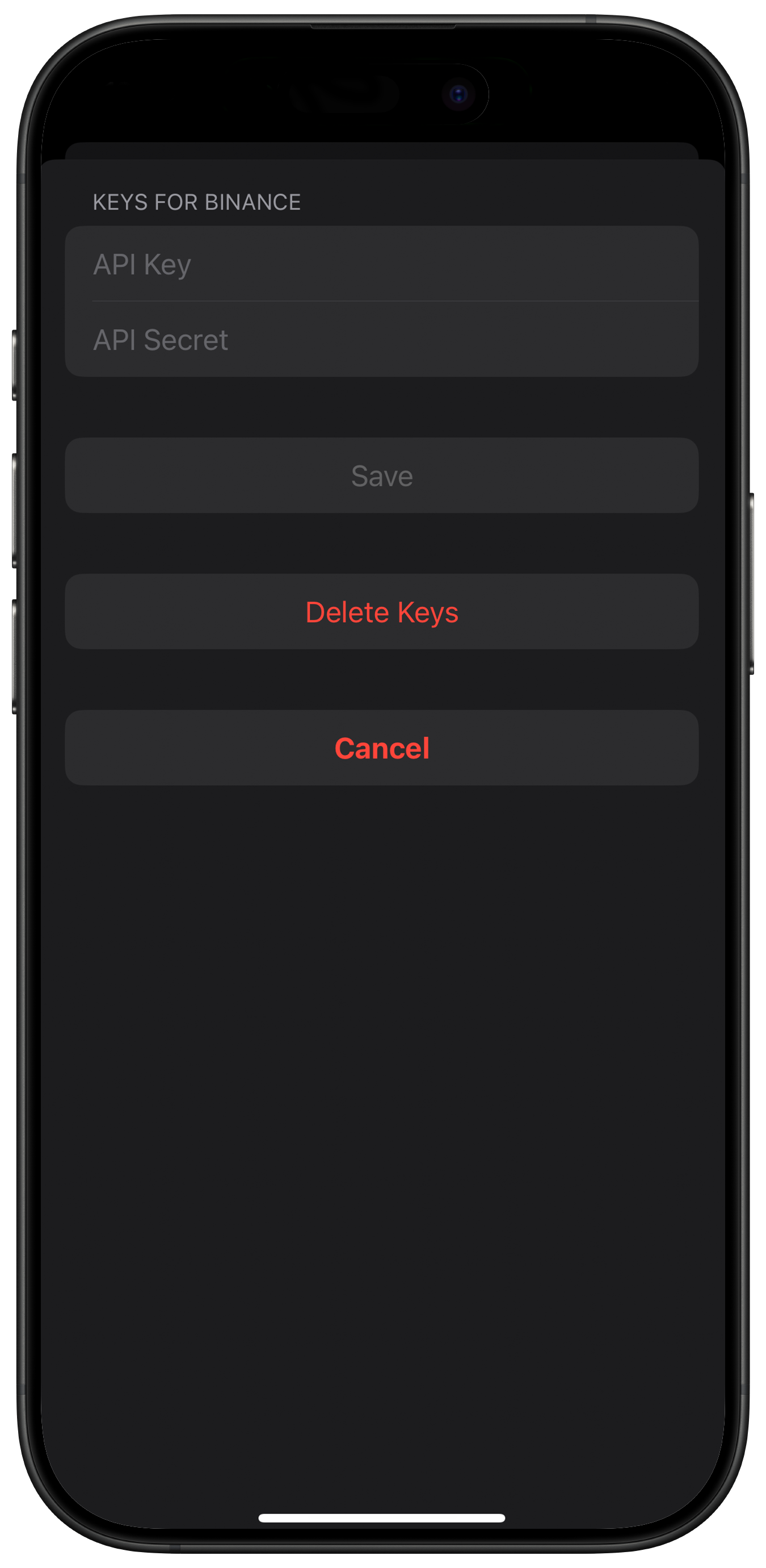 Screenshot: API Detail View